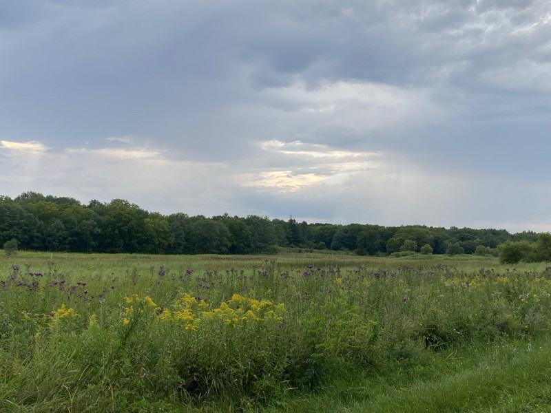 3318 Berwyn Ave #229 - Photo 2 of 24