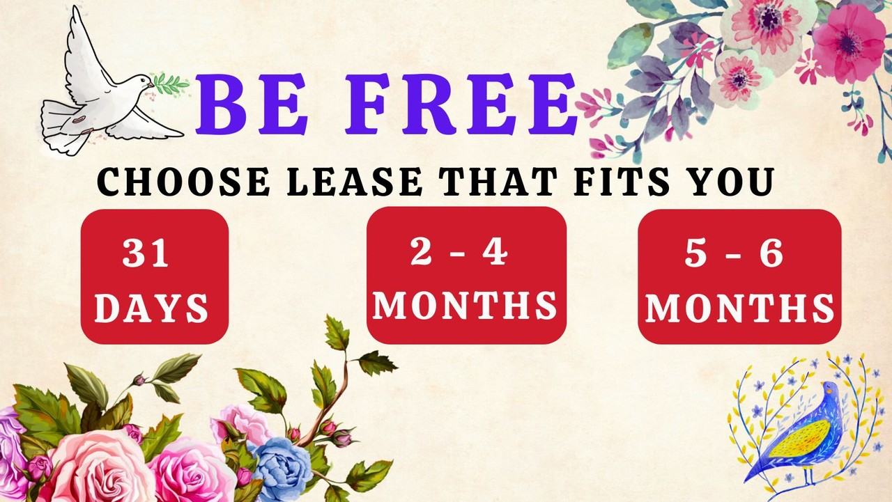 3013 Sungold Drive - Photo 6 of 48