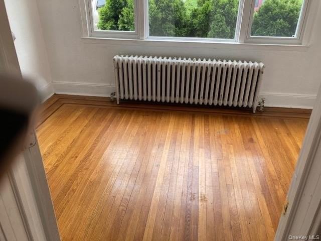 37 Teresa Ave #1stFL - Photo 6 of 10