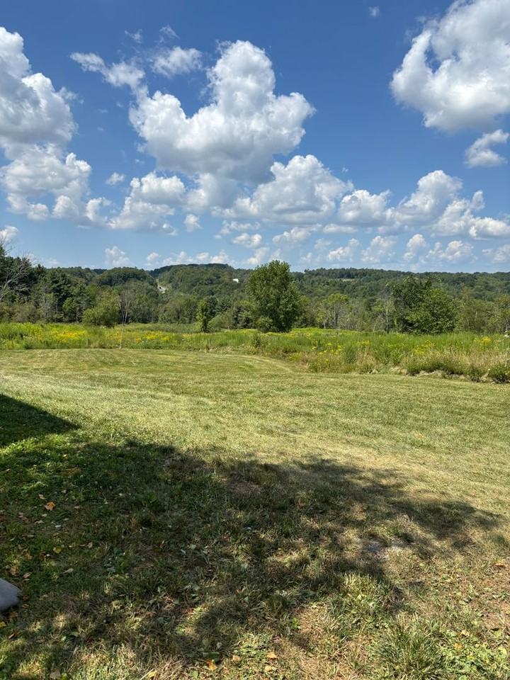 663 Sterling Rd - Photo 4 of 23