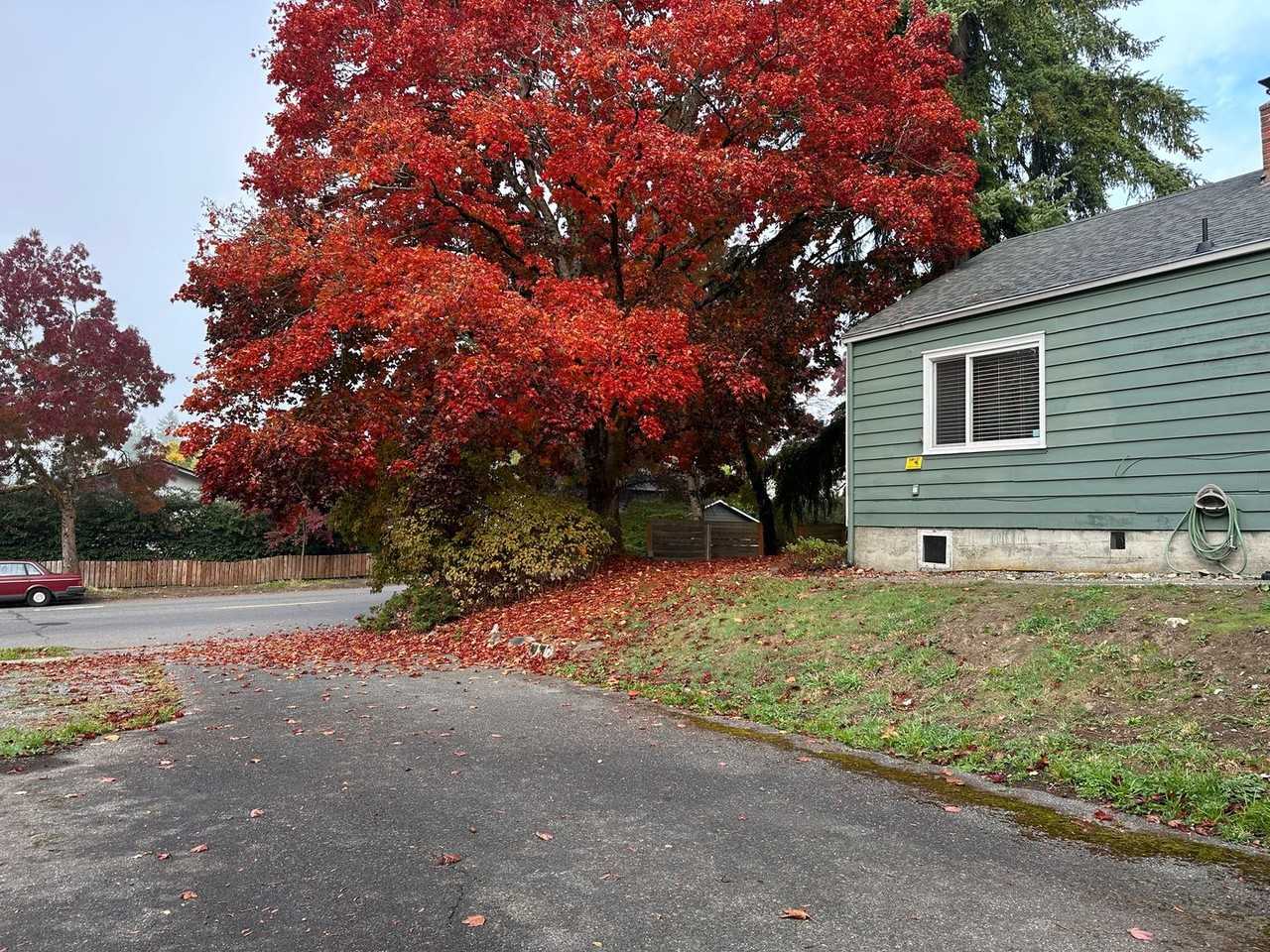 13206 35th Ave Ne - Photo 4 of 25