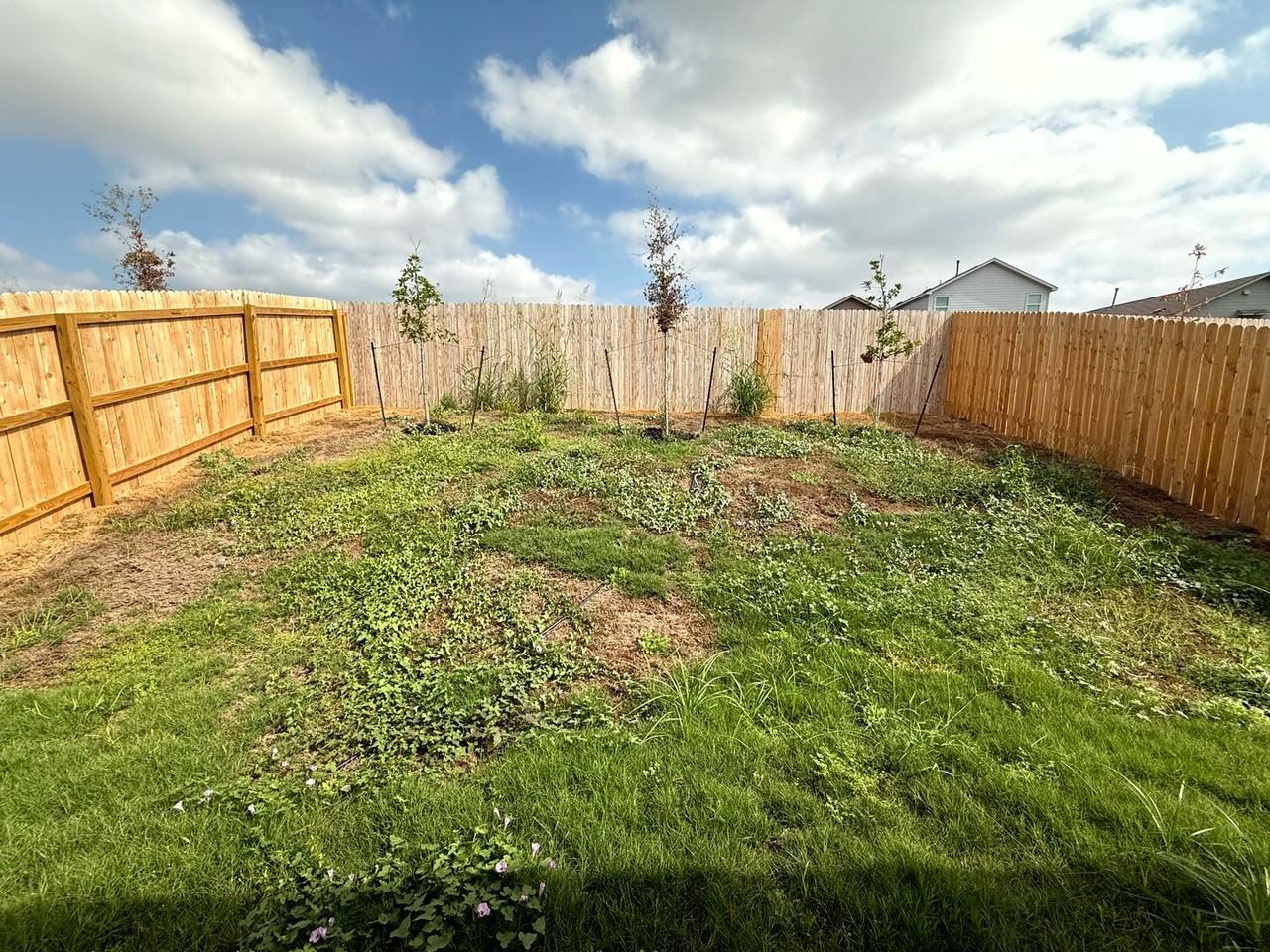 3614 Glade Crk - Photo 2 of 15