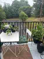 featured image of 7 Jamieson Street