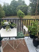 7 Jamieson Street - Photo 1 of 1