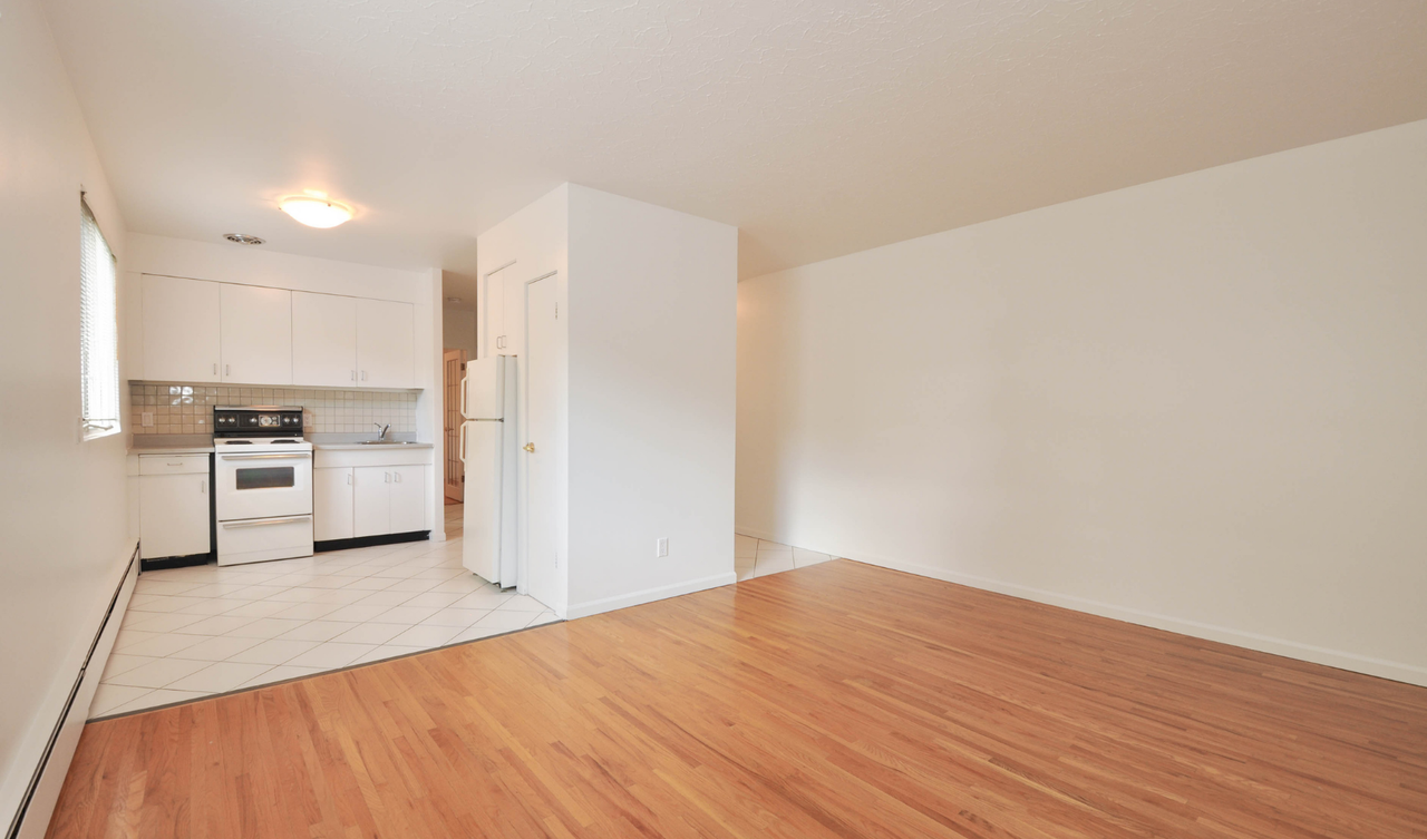 Martyn - Photo 2 of 10