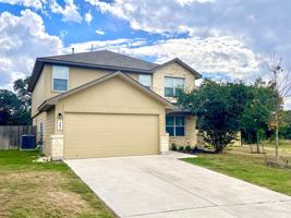 featured image of 402 Fly Catcher #NA