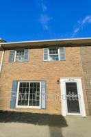 featured image of 4704 Palm Tree Ln