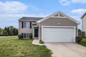 featured image of 1004 English Primrose