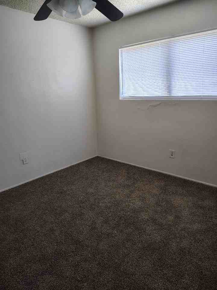 810 Pierce St - Photo 5 of 13