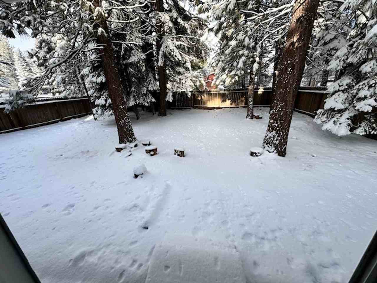 1224 Tokochi St - Photo 2 of 14