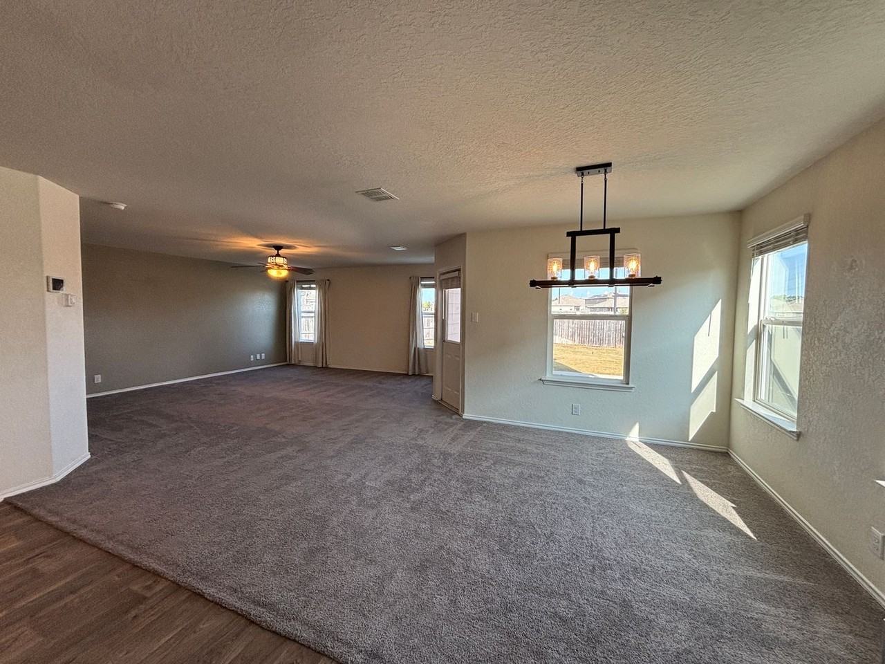 14721 Hooded Mergansen - Photo 6 of 21