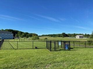 White Pine Village - Photo 7 of 9