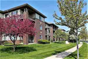 featured image of 321 Meadowside Dr