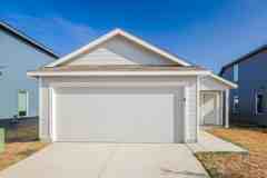 1870 Musk Rose - Photo 1 of 1