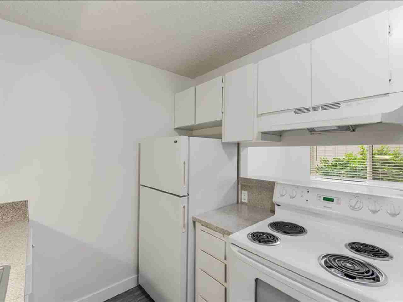 Gem Lane Village - Photo 4 of 38