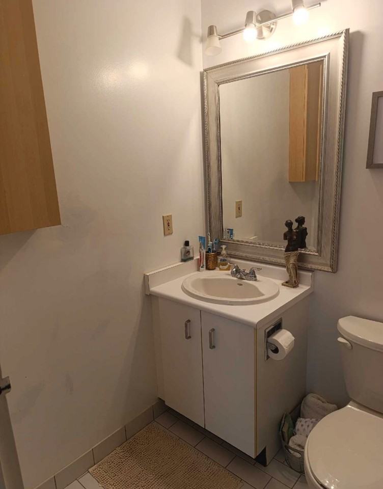 55 Blue Springs Drive #404 - Photo 3 of 16