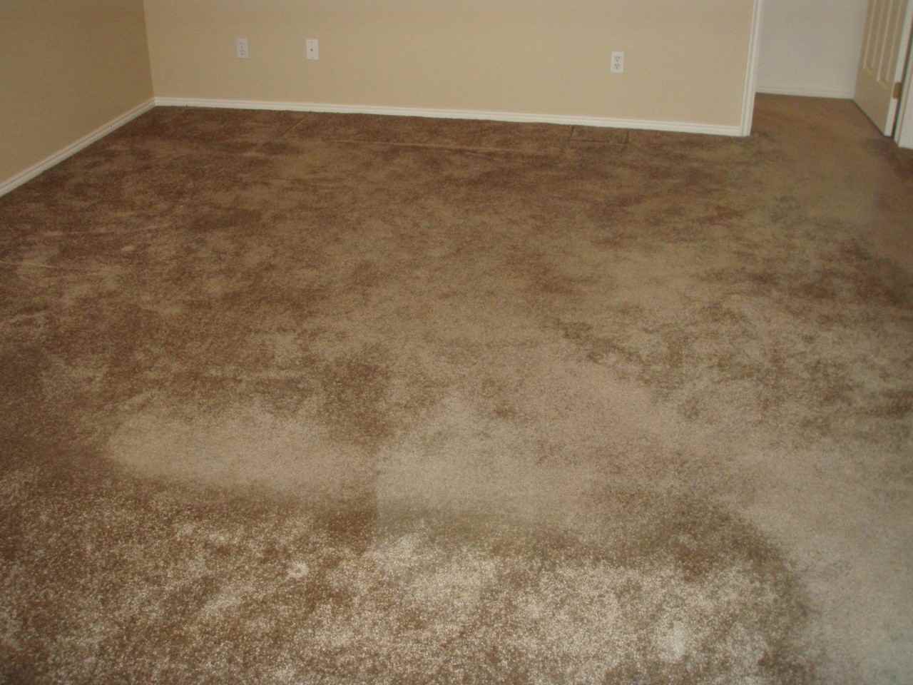 210 Mall Drive - Photo 4 of 7