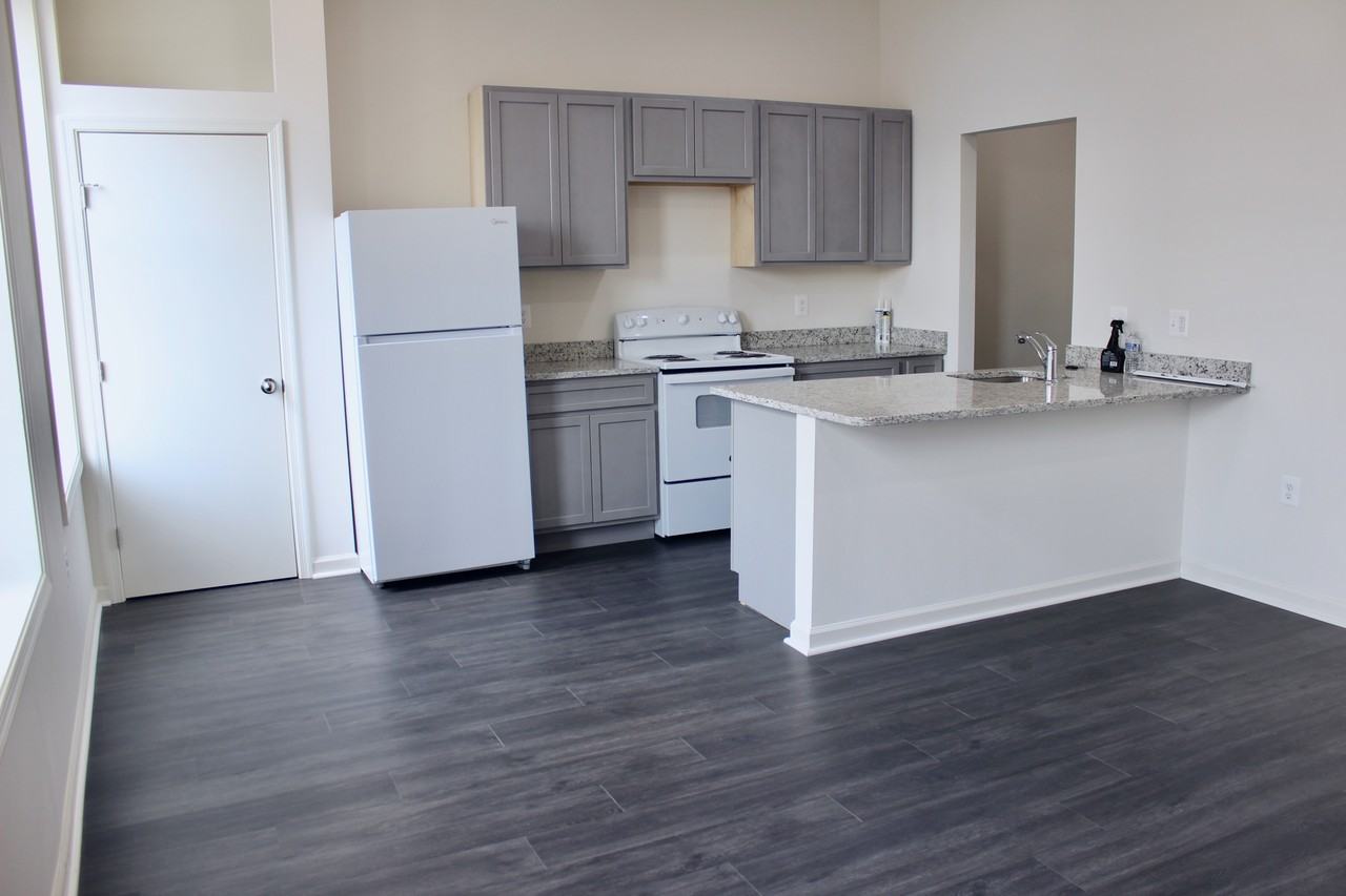 1015 North Charles Street #3F - Photo 6 of 8