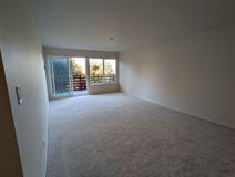 4220 Cesar Chavez Street (307r) - Photo 1 of 1