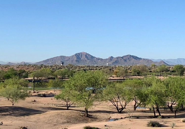 8245 East Bell Road #210 - Photo 2 of 18