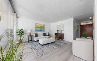 1520 Ward Ave #1001 - Photo 1 of 1