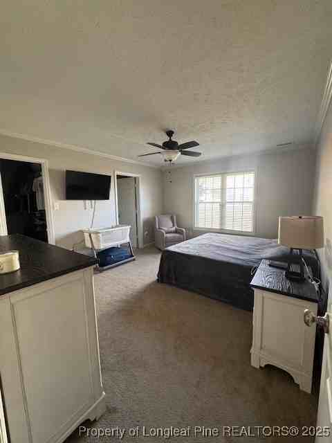 209 Dolphin Dr - Photo 7 of 30