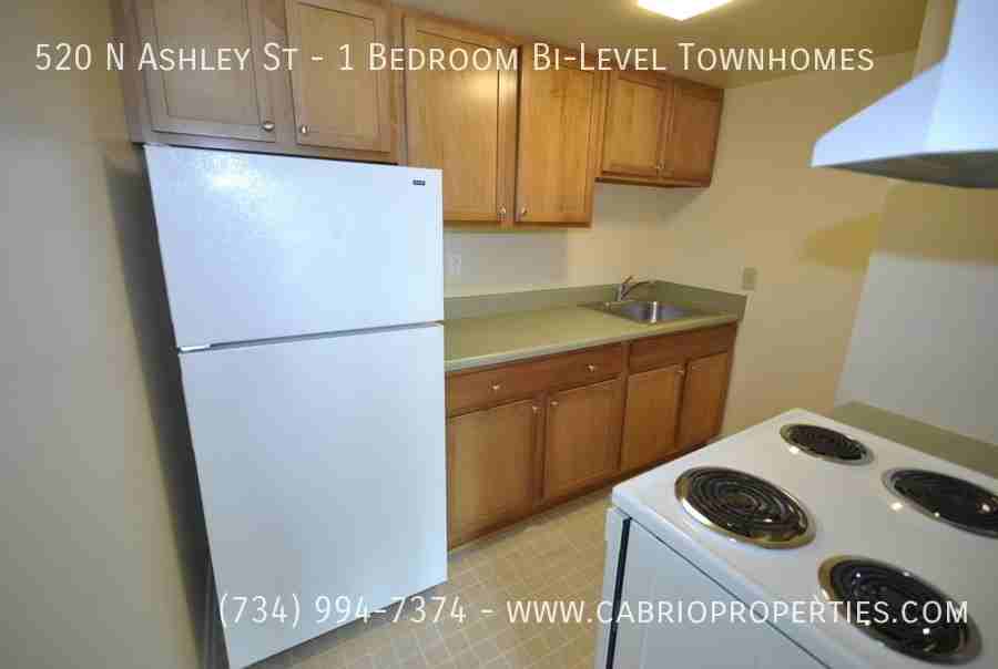 520 N Ashley St - Photo 3 of 24