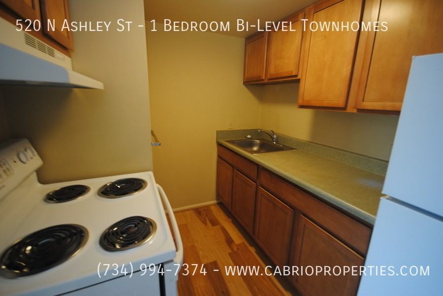 520 N Ashley St - Photo 4 of 24