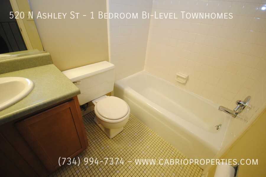 520 N Ashley St - Photo 5 of 24