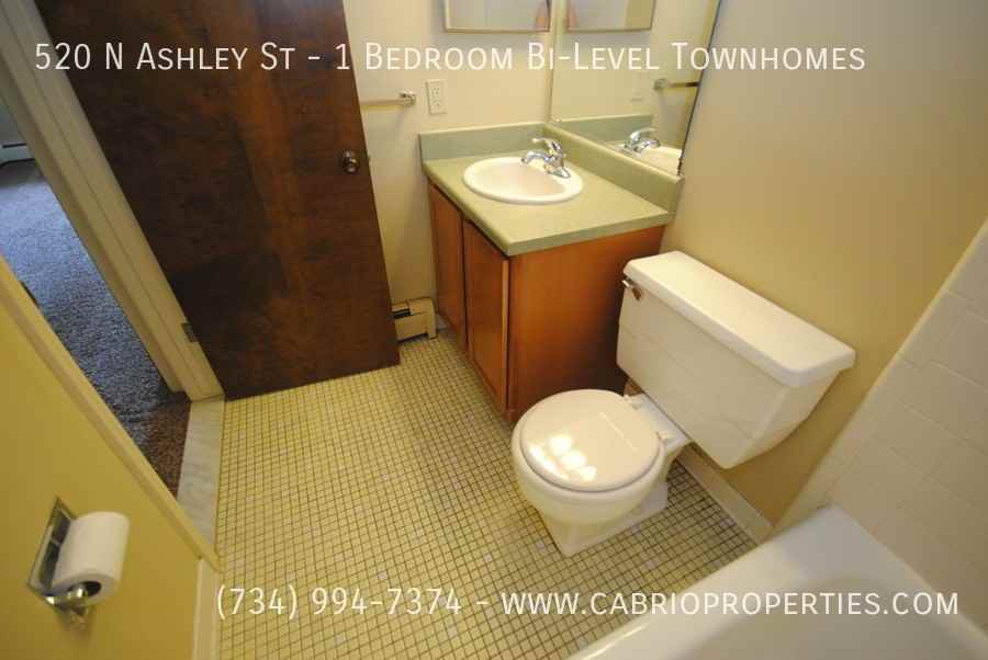 520 N Ashley St - Photo 6 of 24