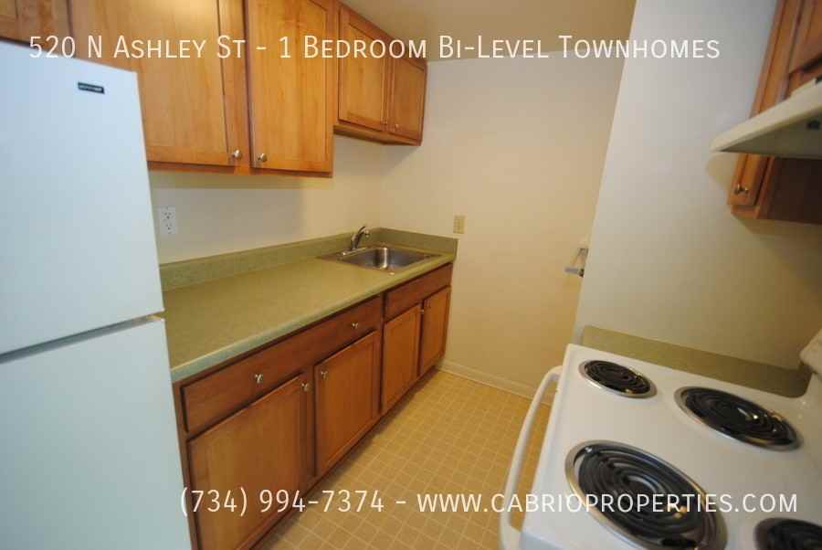 520 N Ashley St - Photo 7 of 24