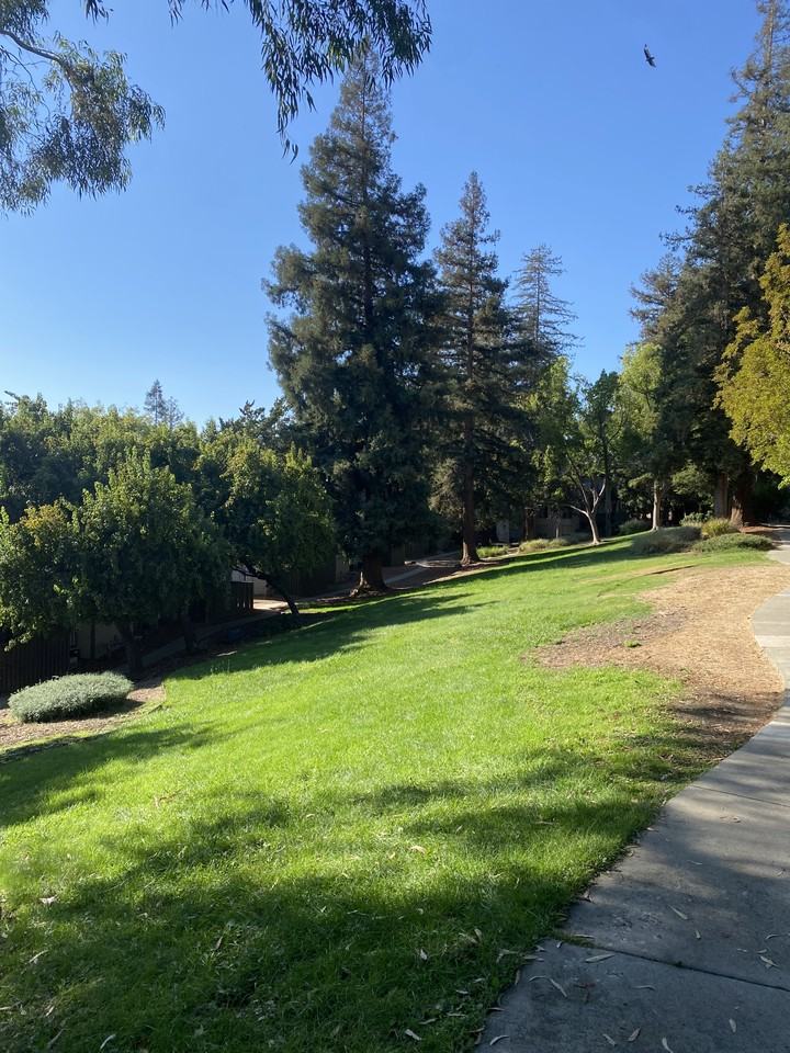 2003 Norse Dr - Photo 2 of 7