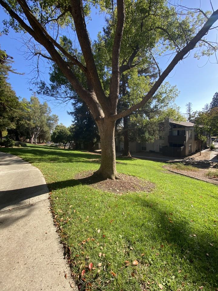 2003 Norse Dr - Photo 4 of 7