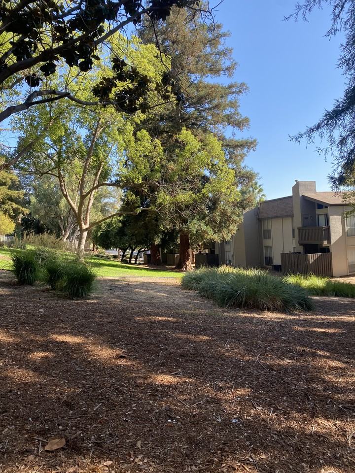 2003 Norse Dr - Photo 5 of 7