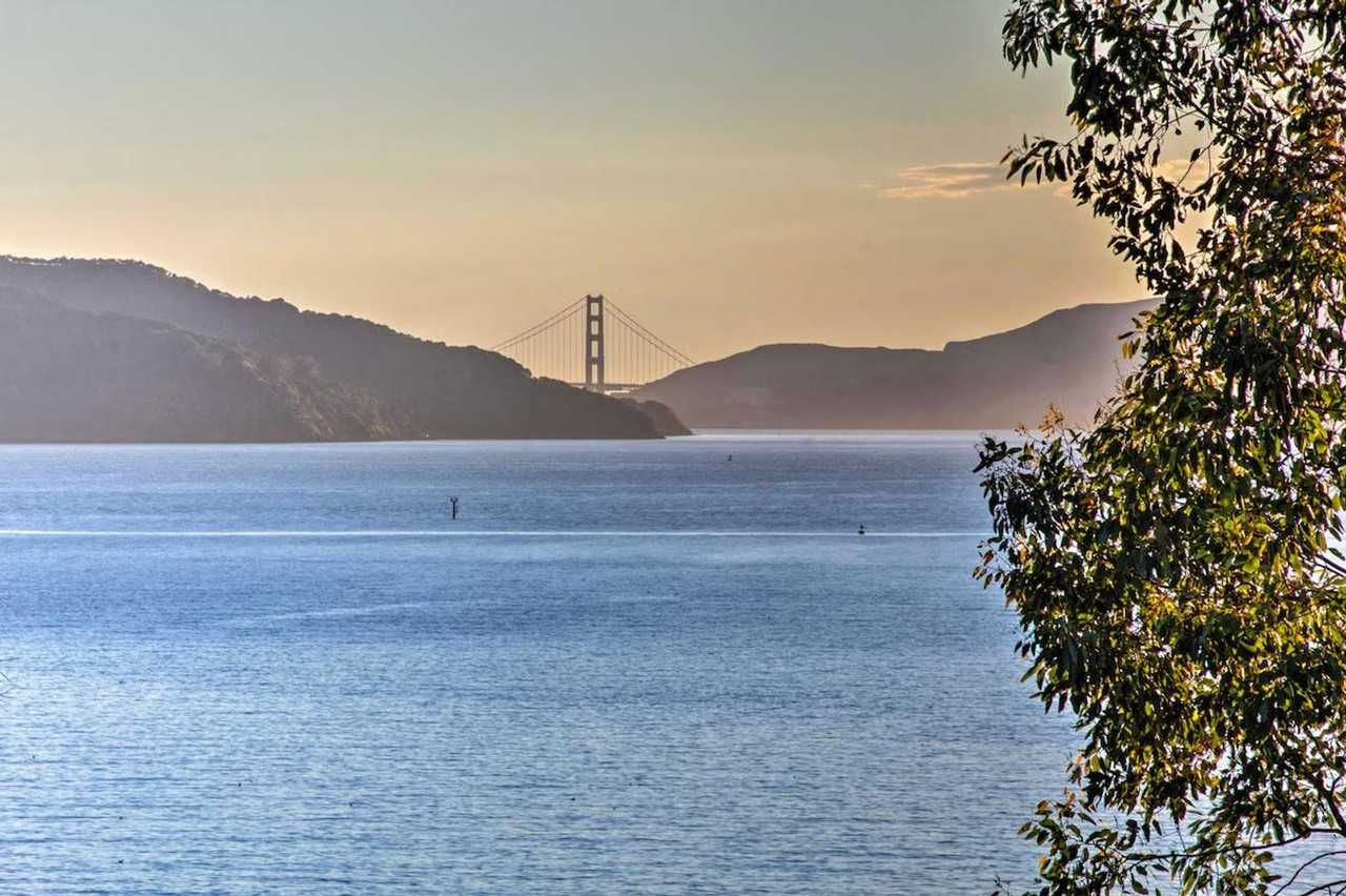 60 Belvedere Ave #1305051P - Photo 5 of 31