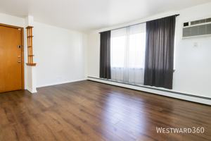 featured image of 8745 S Cottage Grove Ave #2W