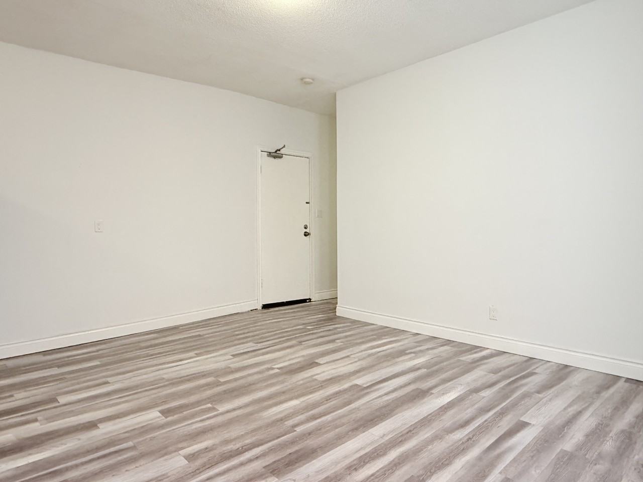 581 Pierre Ave #4 - Photo 3 of 18