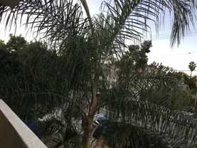 14718 Magnolia Blvd #7 - Photo 1 of 1