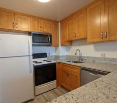 1255 Nuuanu Ave #E2503 - Photo 1 of 1