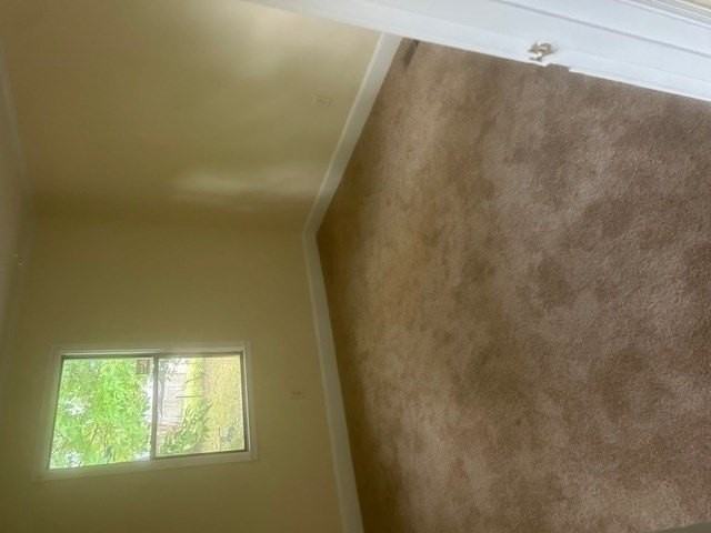 2801 Fern St - Photo 4 of 6