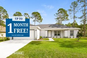 featured image of 20 Zonal Geranium Ct