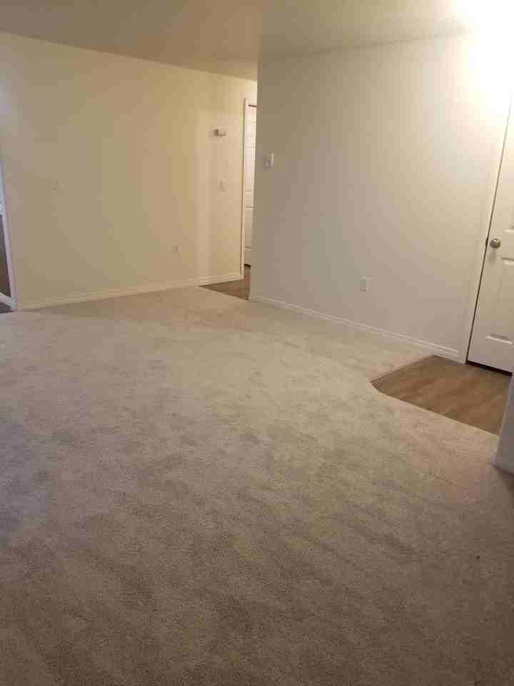 Cherry Apartments - Photo 6 of 50