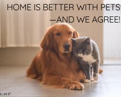 featured image of 1518 N Brook Ct