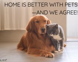 Wilson1518 (CWP) - Photo 1 of 1