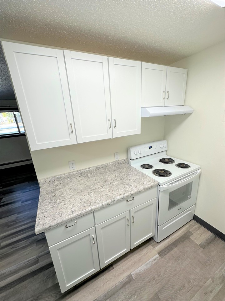 222 S Greenwood St - 18 PLEX - Photo 5 of 19