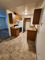 P203W - Photo 1 of 1