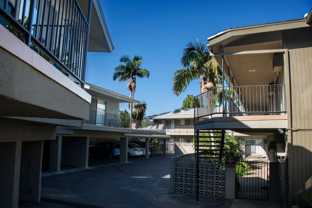 boy1253 - Photo 1 of 1