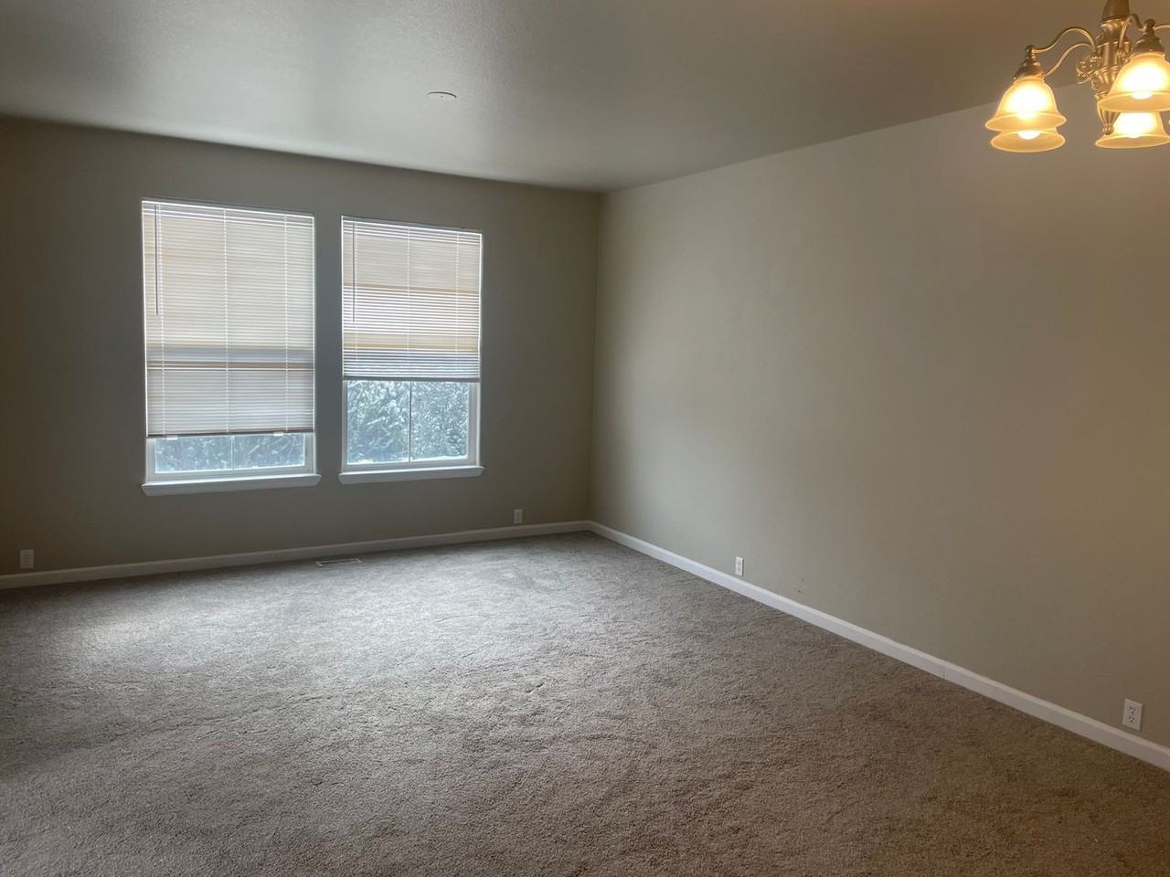 17152 Blue Mist Grove - Photo 4 of 16