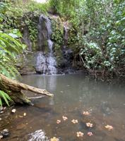 featured image of 630 E Kuiaha Rd #NA