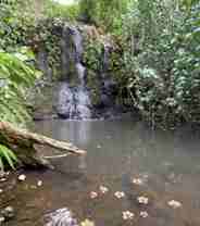630 E Kuiaha Rd #NA - Photo 1 of 1